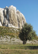 "������� ������" �����������